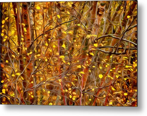 Abstract Metal Print featuring the photograph Autumn Tangle by Theresa Tahara