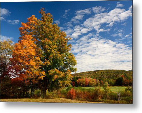 Autumn Metal Print featuring the photograph Autumn Tree on the Windham Path by Nancy De Flon