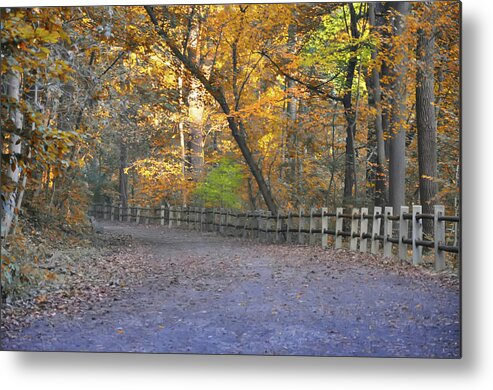 Autumn Metal Print featuring the photograph Autumn Walk near Valley Green by Bill Cannon