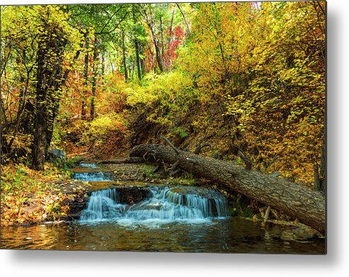 Autumn Metal Print featuring the photograph Autumn Waterfall by Anthony Citro