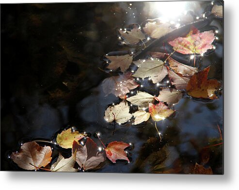 Autumn Metal Print featuring the photograph Autumn with leaves on water by Emanuel Tanjala