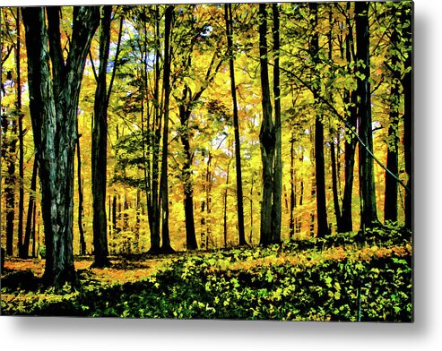 Autumn Metal Print featuring the photograph Autumn's Glow by Monroe Payne