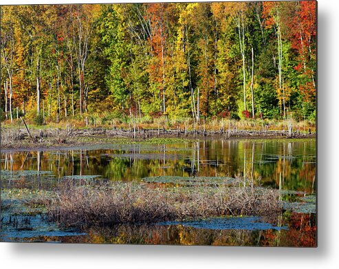 Silent Waters Metal Print featuring the photograph Autumns Quiet Moment by Karol Livote