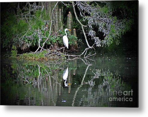 Wildlife Metal Print featuring the photograph Away From The Crowd by Lydia Holly