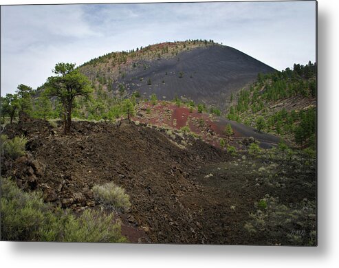 Arizona Metal Print featuring the photograph AZ Landscape from Lava Trail No. 3 by David Gordon