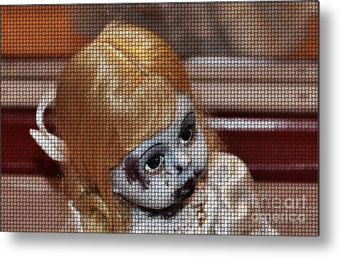 Baby Metal Print featuring the photograph Baby Girl Two by Beverly Shelby