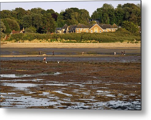Bright Metal Print featuring the photograph Bait Digging At Bembridge by Rod Johnson