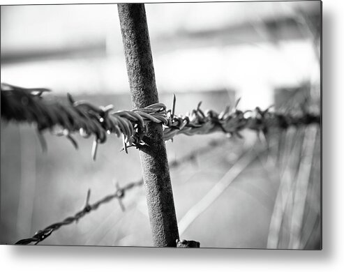 Texas Metal Print featuring the photograph Barbed Wire by Adam Reinhart