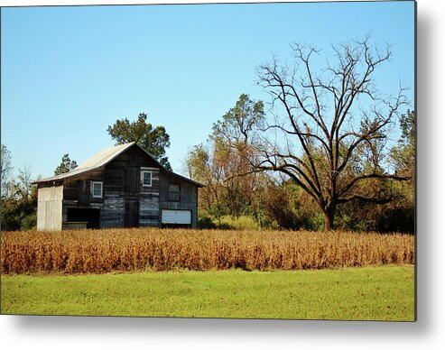 Building Metal Print featuring the photograph Barn Landscape by Cynthia Guinn