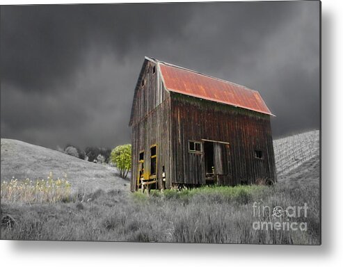 Old Barn Metal Print featuring the photograph Barn Life by TK Goforth