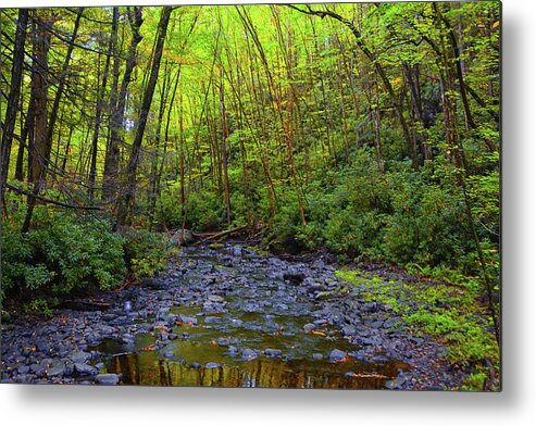 Dingmans Falls Metal Print featuring the photograph Base of Dingmans Fall by Raymond Salani III