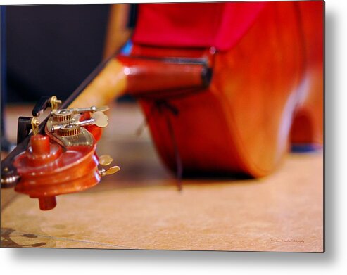 String Metal Print featuring the photograph Bass at Rest by Constance Sanders