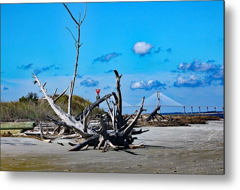 Nature Metal Print featuring the photograph Beach-Driftwood-Bridge by DB Hayes