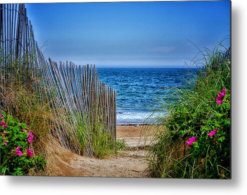 Beach Metal Print featuring the photograph Beach Roses by Tricia Marchlik