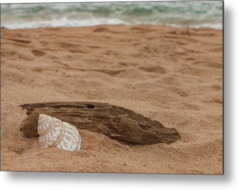 Sand Metal Print featuring the photograph Beach, Sand, and Shell by Teresa Wilson
