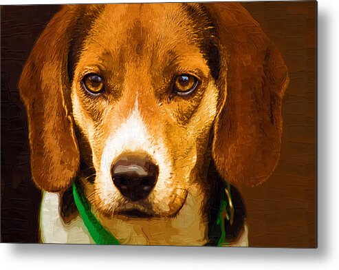 Beagle Metal Print featuring the photograph Beagle Hound Dog in Oil by Kathy Clark