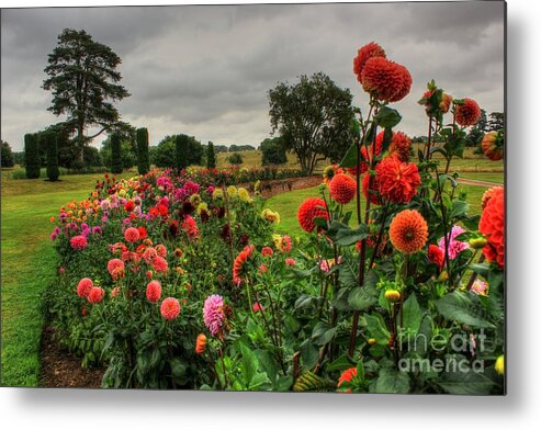 Beautiful Metal Print featuring the photograph Beautiful Garden in HDR by Vicki Spindler