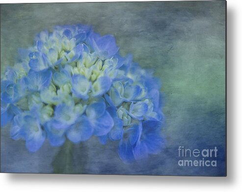 Hydrangea Metal Print featuring the photograph Beautiful in Blue by Linda Blair