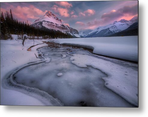 Jasper Metal Print featuring the photograph Beauty Creek, Jasper National Park by Dan Jurak