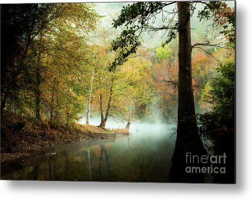 Creek Metal Print featuring the photograph Beavers Bend Creek in Fall by Iris Greenwell