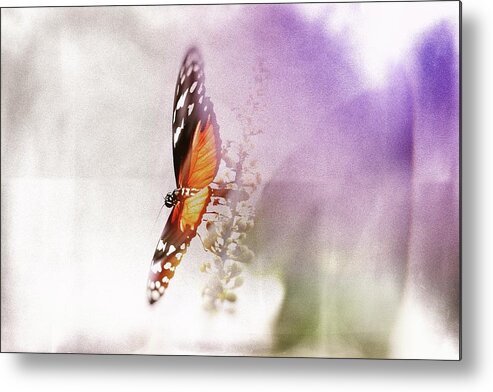 Butterfly Metal Print featuring the photograph Behind the purple by Jaroslav Buna