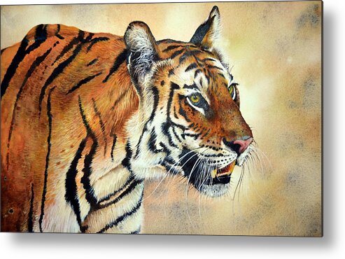 Bengal Tiger Metal Print featuring the painting Bengal Tiger by Paul Dene Marlor