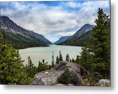 Trees Metal Print featuring the photograph Bennett Lake by Ed Clark