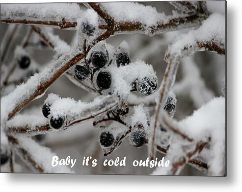 Berry Metal Print featuring the photograph Berry Cold by Jewels Hamrick