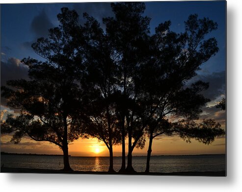 Sunset Metal Print featuring the photograph Between The Trees by Melanie Moraga