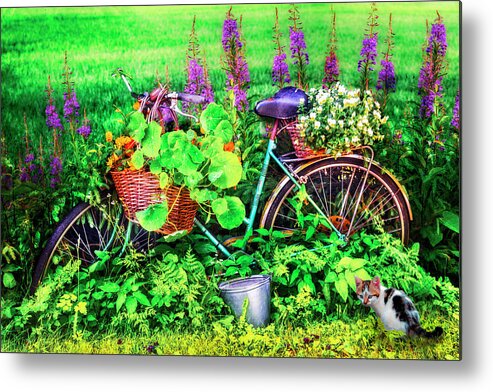 Appalachia Metal Print featuring the photograph Bicycle in the Flower Garden by Debra and Dave Vanderlaan