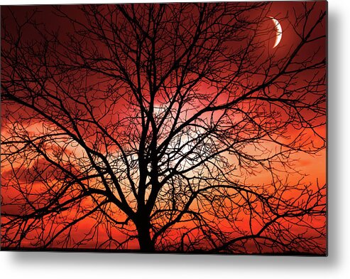 Tree Metal Print featuring the photograph Big Bad Moon by Philippe Sainte-Laudy