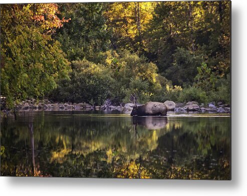 Fall Color Metal Print featuring the photograph Big Bull in Buffalo National River Fall Color by Michael Dougherty