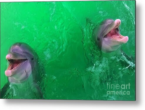 Dolphins Ocean Beach Metal Print featuring the photograph Big Fish in Green Water by James and Donna Daugherty
