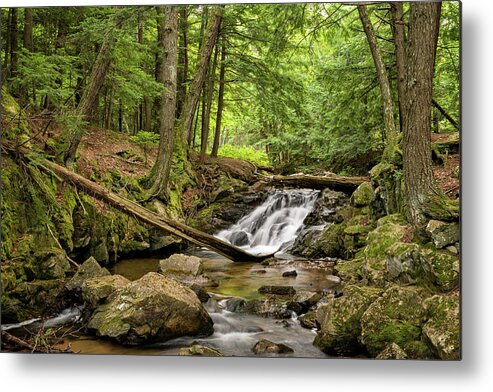 Water Falls Metal Print featuring the photograph Big Pup Falls by Steve L'Italien