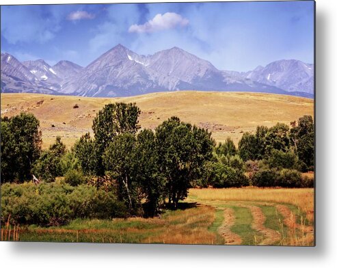 Montana Metal Print featuring the photograph Big Timber Canyon 2 by Marty Koch