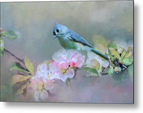Bird Metal Print featuring the photograph Bird and Blossoms by Cathy Kovarik