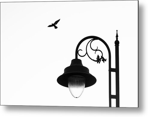 Flying Dove Metal Print featuring the photograph Bird and Street Lamp in Black and White by Prakash Ghai