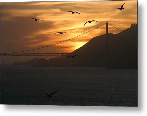 Golden Gate Bridge Metal Print featuring the photograph Birds by the Bay by Jeff Floyd CA