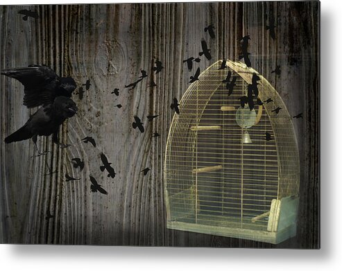 Wild Bird Metal Print featuring the photograph Birds Gone Wild by Suzanne Powers