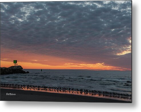 California Central Coast Metal Print featuring the photograph Birds In the Sunset by Bill Roberts