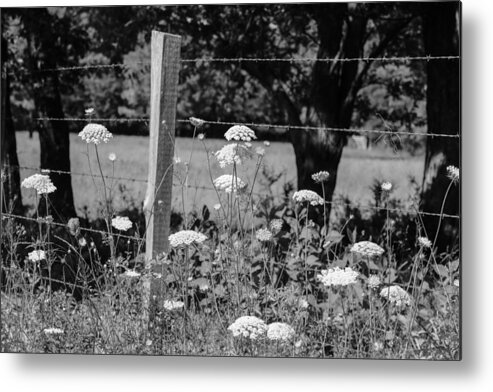 Black And White Metal Print featuring the photograph Black and White 28 by Jimmy McDonald