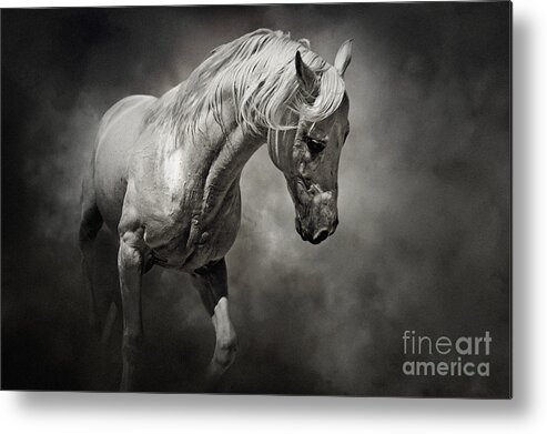 Horse Metal Print featuring the photograph Black and White Horse - Equestrian art poster by Dimitar Hristov