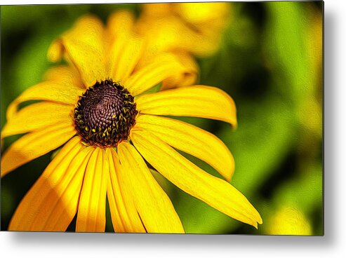 Garden Metal Print featuring the photograph Black Eyed Susan by Reynaldo Williams