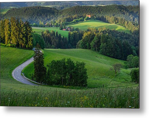 Road Metal Print featuring the photograph Black Forest Morning by Shuwen Wu