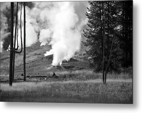 Yellowstone River Metal Print featuring the photograph Black Growler in Black and White by Bruce Gourley