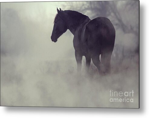 Horse Metal Print featuring the photograph Black horse in the dark mist by Dimitar Hristov
