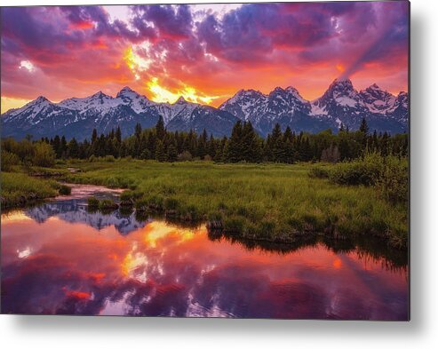 Sunsets Metal Print featuring the photograph Black Ponds Sunset by Darren White