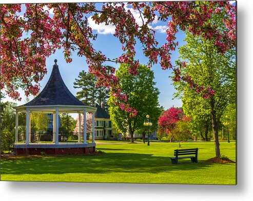 Park Metal Print featuring the photograph Blossoms and Benches by Tim Kirchoff