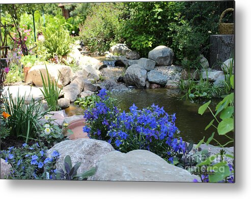 Blue Metal Print featuring the painting Blue Flowers and Stream by Corey Ford
