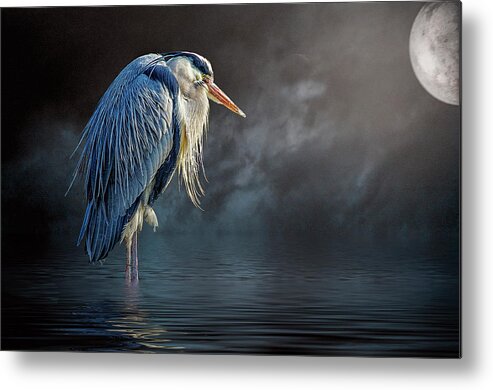 Great Blue Heron Metal Print featuring the photograph Blue Heron Moon by Brian Tarr